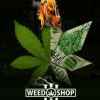 🍁 WeedShop Tuc 🌳