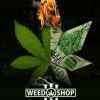 ? WeedShop Tuc ?